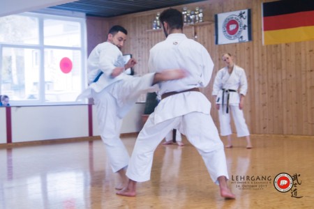 Selbstverteidigung im Bushido Siegen e.V - Karate