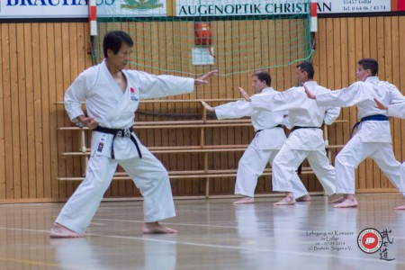 Karate - Kawasoe Sensei