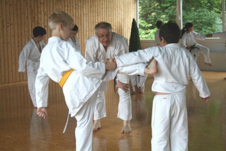 karate-rolf-2012